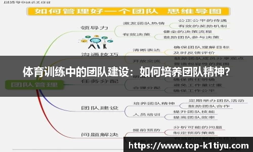 体育训练中的团队建设：如何培养团队精神？